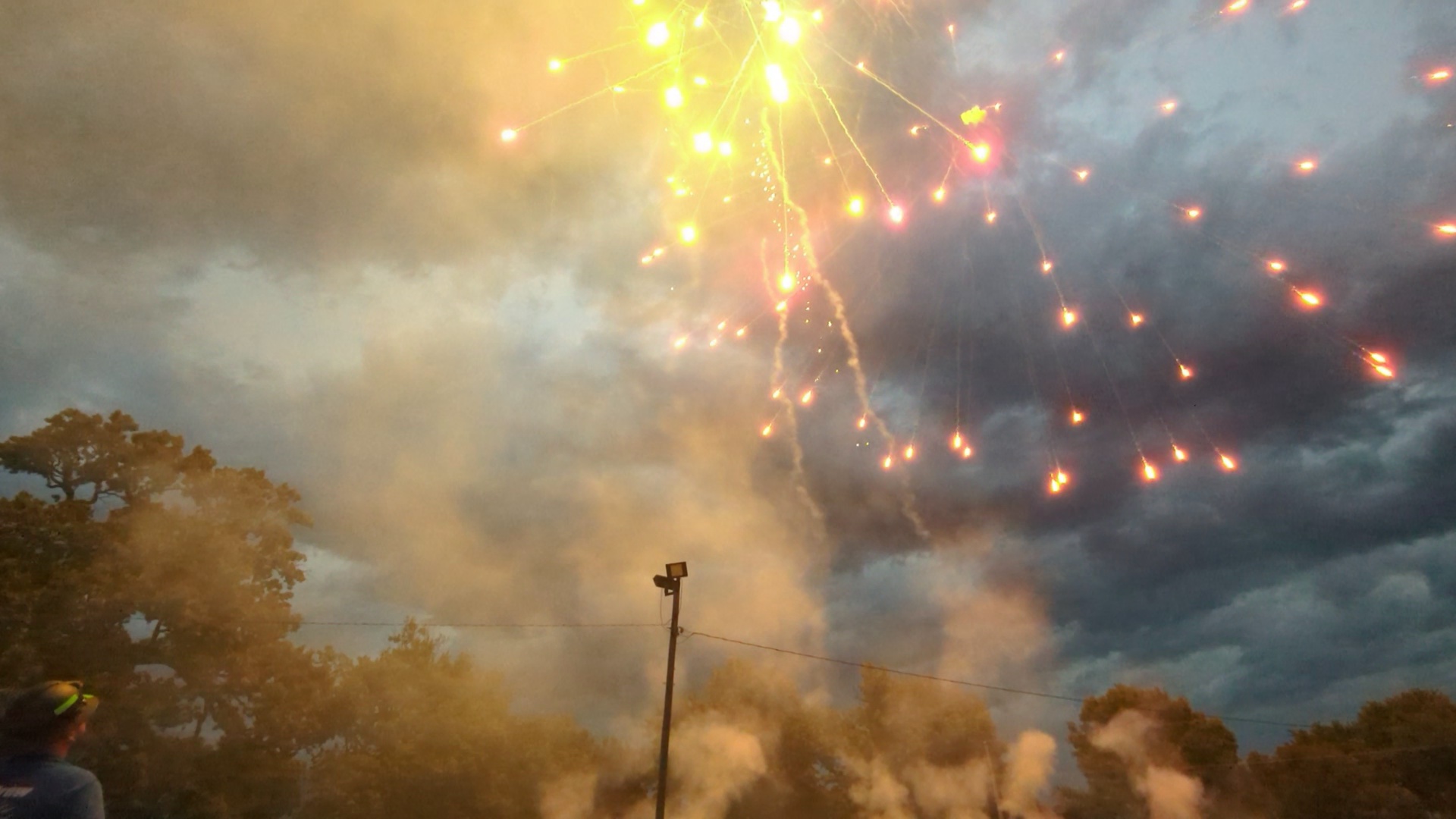 Golden Willow fireworks canopy over trees